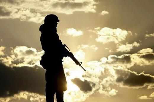 طرح اصلاح سربازی اختیاری,جزئیات طرح اصلاح سربازی اختیاری