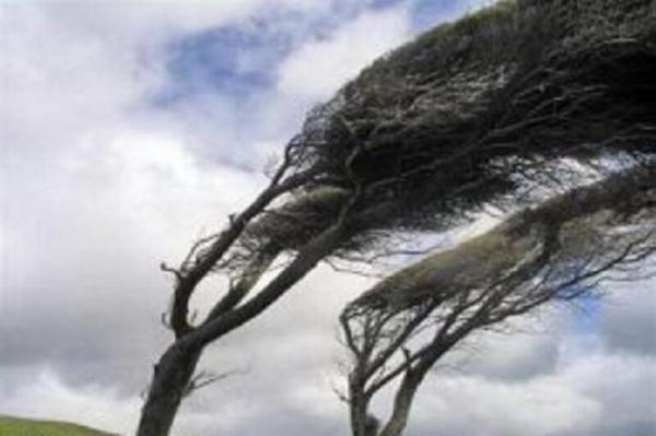 وزش باد شدید,طوفان در مازندران