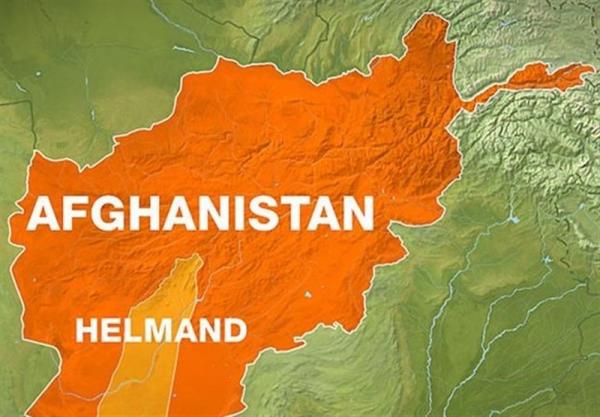 حمله طالبان به نیروهای امنیتی در هلمند,طالبان