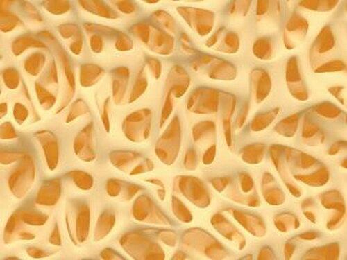 تولید سلول‌های استخوان‌ساز با لرزش‌های نانومتری,سلول‌های استخوان‌ساز