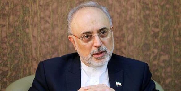 رئیس سازمان انرژی اتمی,علی اکبر صالحی