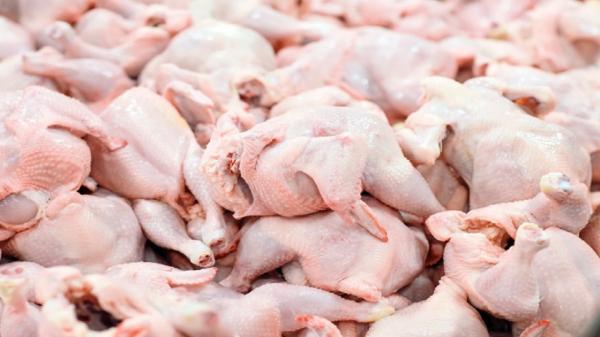 مرغ,تأمین مرغ مورد نیاز مردم با نرخ مصوب