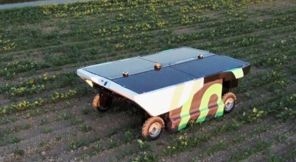 تولید ربات خودران خورشیدی برای نابودی آفت‌های کشاورزی,ربات خورشیدی