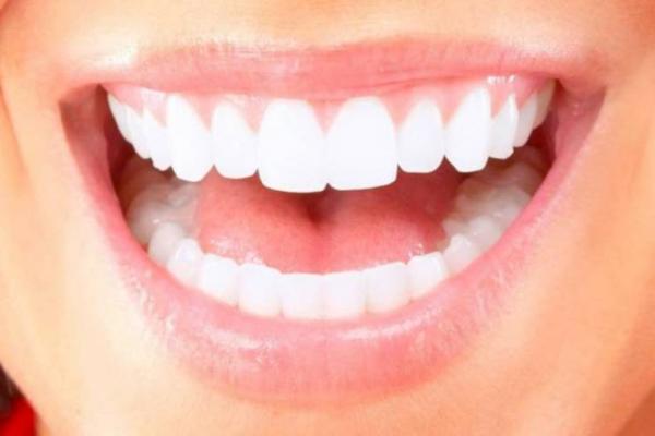 رشد مجدد دندان‌های دائمی,دندان دائمی