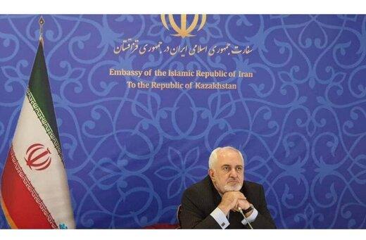 محمدجوادظریف,سازمان دی 8