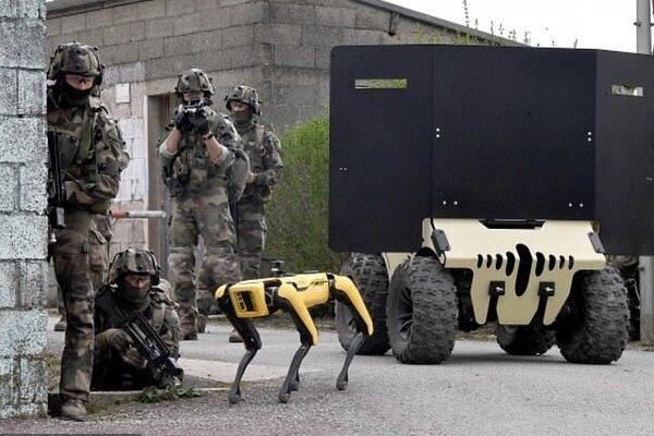 سگ رباتیک,ارتش فرانسه