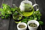 خاصیت چایسبز برای مباررزه با کرونا,چای سبز