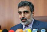 بهروز کمالوندی,سخنگوی سازمان انرژی اتمی