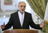 علی‌اکبر صالحی,رییس سازمان انرژی اتمی