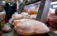 افزایش بیش از ۱۰۰ درصدی قیمت مرغ,قیمت مرغ سال 1400