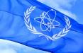 آژانس انرژی اتمی,گزارش از فعالیت هسته ای ایران در نطنز