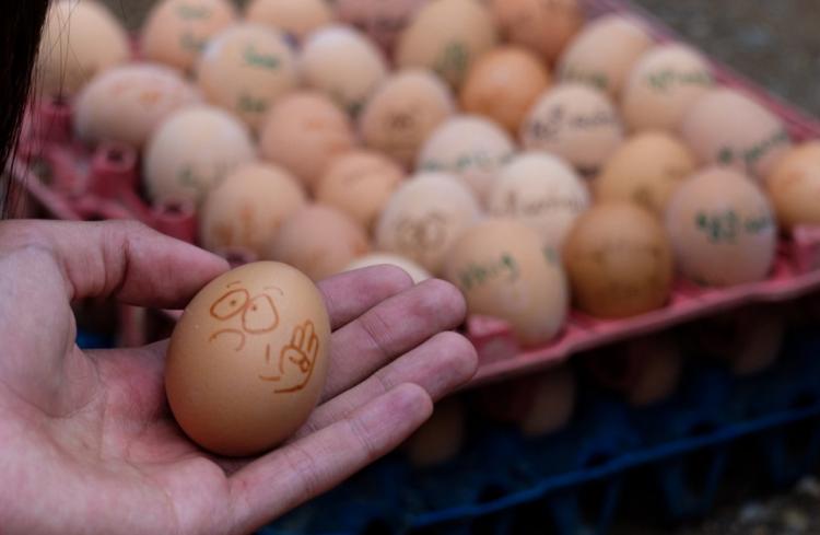تصاویر تخم مرغ رنگی تزئین اعتراضات میانمار,تصاویر اعتراضات در میانمار,عکس های تظاهرات اعتراضی در میانمار