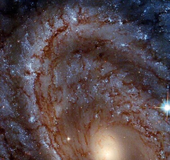کهکشان مارپیچی باشکوه,سایه پنگوئن‌ها در فضا