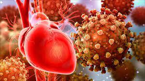 احتمال نارسایی قلبی در بیماران کرونایی,ویروس کرونا