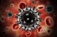 ویروس کرونا,افزایش خطر ابتلا و مرگ در اثر کرونا در بیماران مبتلا به ایدز
