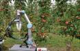 ابداع رباتی برای چیدن سیب,چیدن سیب با ربات