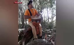 فیلم/ نوازنده ایرانی بر اثر حمله سگ‌ها درگذشت