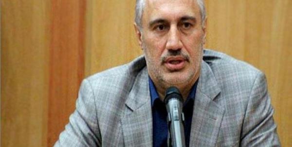 معاون اقتصادی سازمان برنامه و بودجه معاون اقتصادی سازمان برنامه و بودجه,ارز دولتی