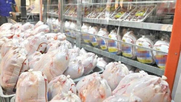 واردات گوشت مرغ منجمد ستاد تنظیم بازار