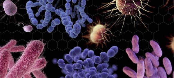 خطر افزایش باکتری‌های مقاوم به آنتی‌بیوتیک,ویروس کرونا