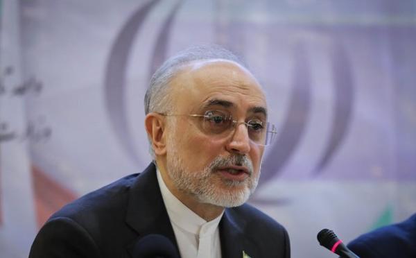 رئیس سازمان انرژی اتمی,علی اکبر صالحی