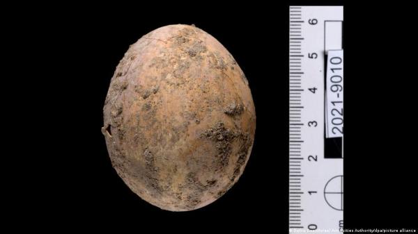 کشف تخم مرغی هزار ساله در جنوب تل آویو,تخم مرغ 1000 ساله