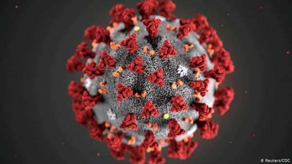 ویروس کرونا,مکانیسم دفاعی جدید در برابر کرونا
