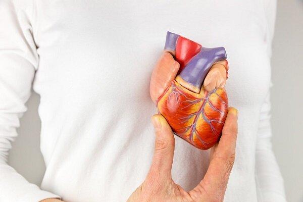 ارتباط چربی دور قلب با افزایش خطر نارسایی قلبی,نارسایی قلبی