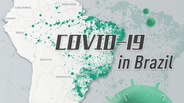 کرونا در برزیل,کشف نوعی ویروس کرونا با منشا ناشناخته در برزیل