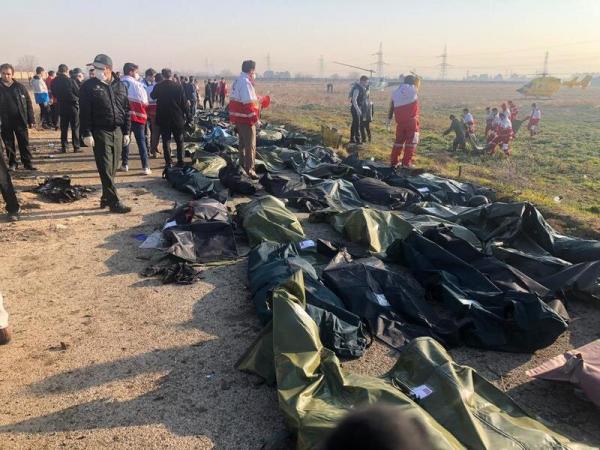 سقوط هواپیما اوکراینی,پرداخت غرامت به خانواده جانباختگان هواپیما اوکراینی