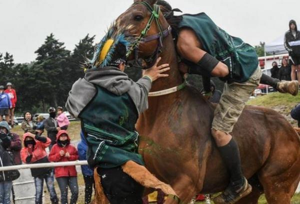 مسابقه اسب سواری بومیان آمریکا,اسب سواری بومیان آمریکایی
