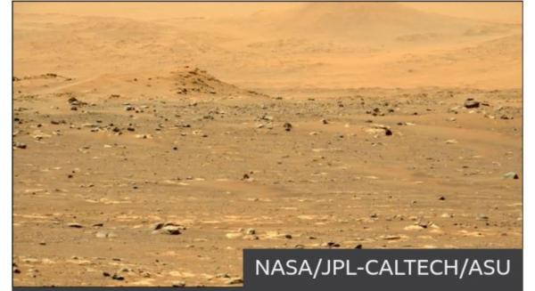 سیاره سرخ,مریخ نورداستقامت