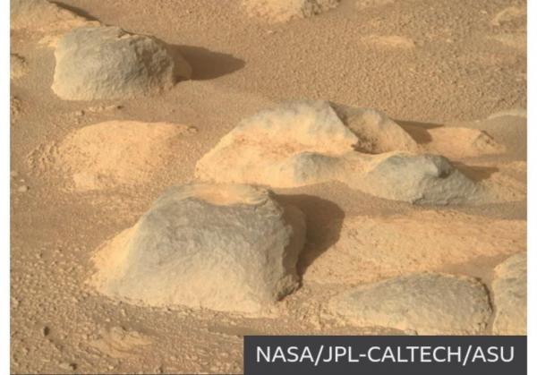 سیاره سرخ,مریخ نورداستقامت