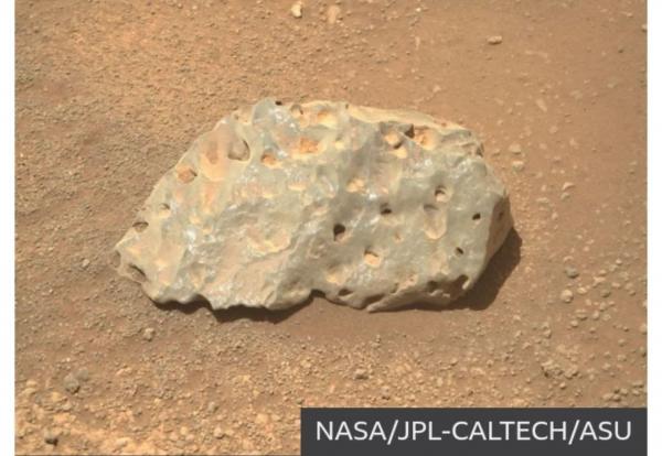 سیاره سرخ,مریخ نورداستقامت