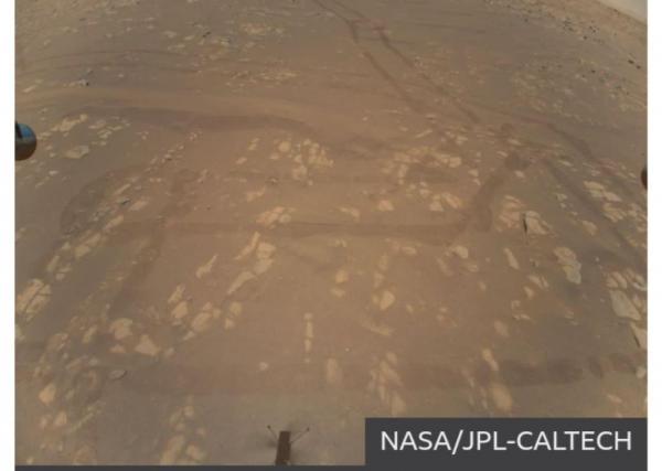 سیاره سرخ,مریخ نورداستقامت