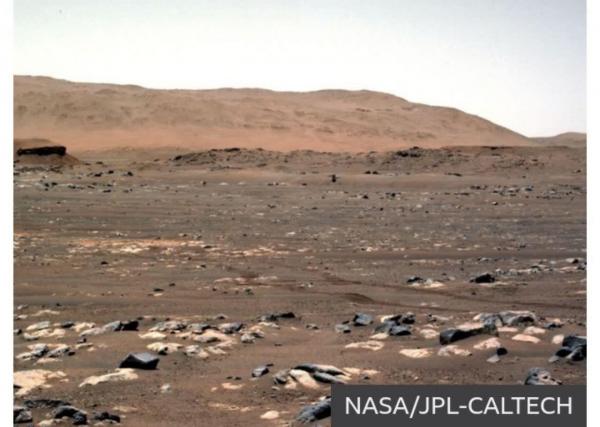 سیاره سرخ,مریخ نورداستقامت