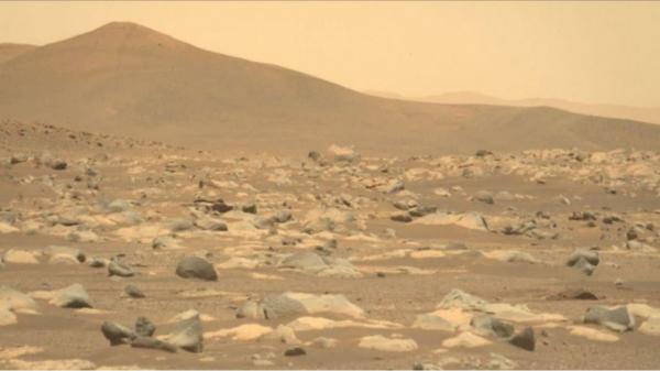 سیاره سرخ,مریخ نورداستقامت