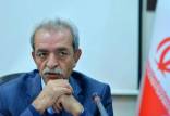 غلامحسین شافعی رئیس اتاق بازرگانی ایران,رشد اقتصادی