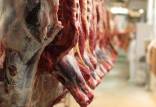 قیمت گوشت قرمز,قیمت گوشت شقه گوسفندی