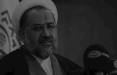 ردصلاحیت هاشمی در انتخابات ۹۲, اظهارات حیدر مصلحی