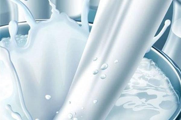 افزایش قیمت شیر و لبنیات,قیمت شیر در بازار