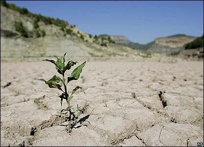 خشکسالی در دشتهای کشور,ورشکستگی آبی چیست
