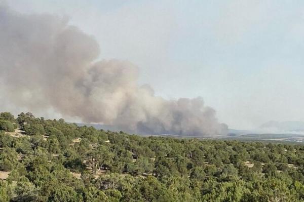 آتش سوزی در جنگل ها و مراتع منطقه شبلیز,آتش سوزی جنگلهای سمنان
