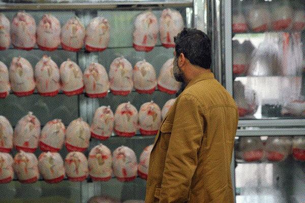 خرید مرغ با کارت ملی,مرغ در اصفهان