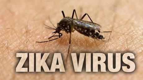 ویروس زیکا,ابتلا به زیکا در هند