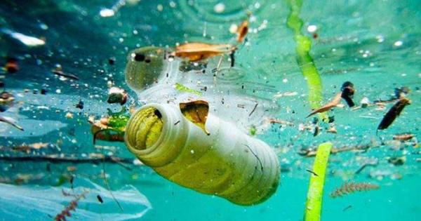 حل بحران پلاستیک با کمک ربات‌ها,کمک ربات ها برای بحران پلاستیک