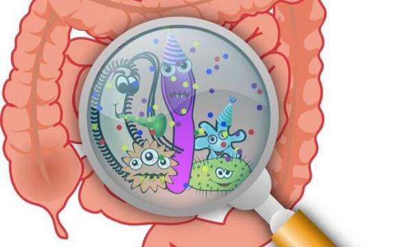 باکتری روده,نقش باکتری روده در مهارت‌های شناختی زبانی کودکان