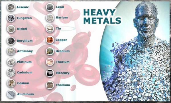 بروز بیماری‌های مزمن در انسان مسمومیت با فلزات سنگین,مسمومیت با فلزات سنگین