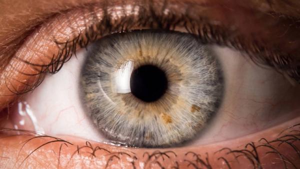 کافئین تهدیدی برای سلامتی چشم‌ها,خطرات کافئین برای چشم