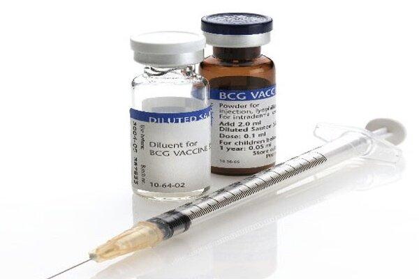 واکسن ب.ث.ژ,اثر واکسن ب.ث.ژ بر دیابت نوع 1